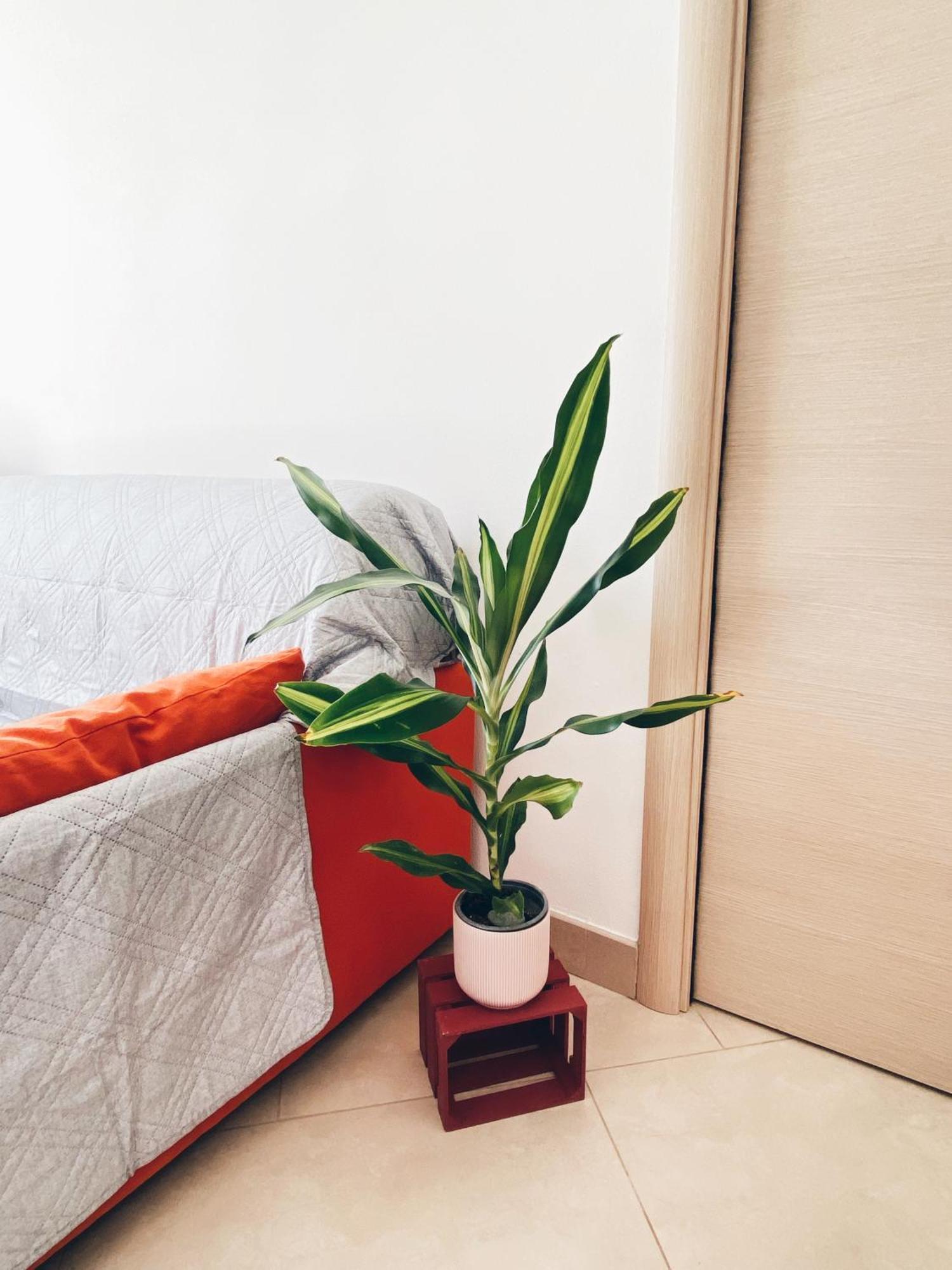 Apartment In Siena With Private Parking Екстер'єр фото